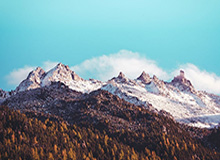 开云网页版-半岛体育官网：开启体育娱乐新纪元